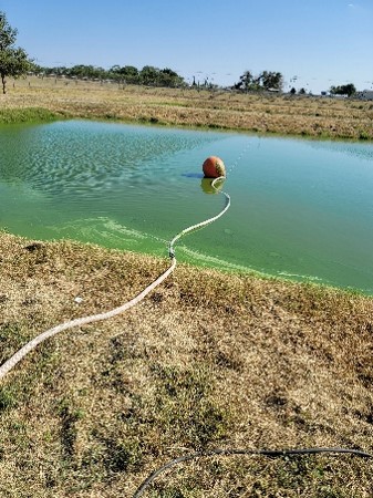 A treatment device sits in the middle of a pond